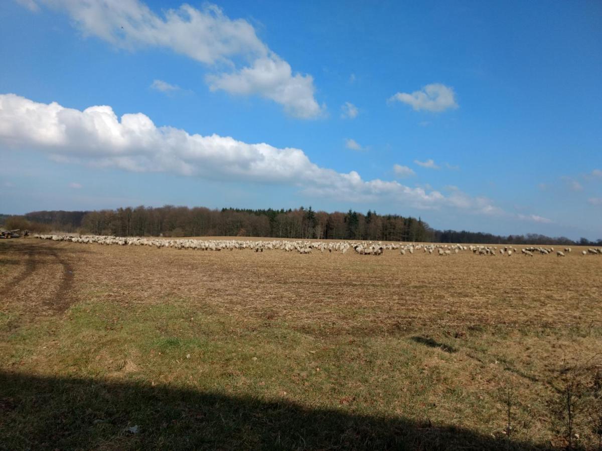 Fewo Haus Patze Betzendorf Exteriér fotografie